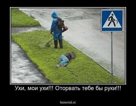 Ухи, мои ухи!!! Оторвать тебе бы руки!!!