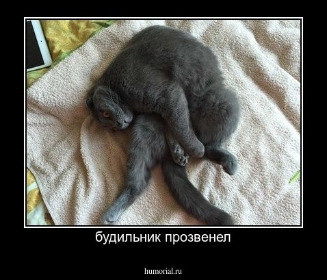 будильник прозвенел