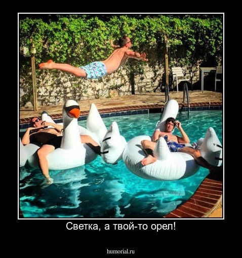 Светка, а твой-то орел!