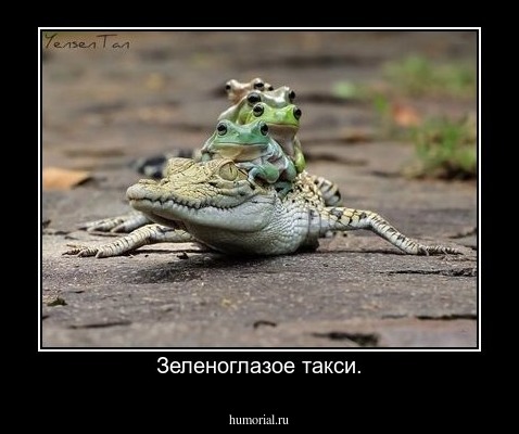 Зеленоглазое такси.