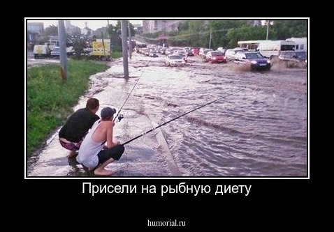 Присели на рыбную диету