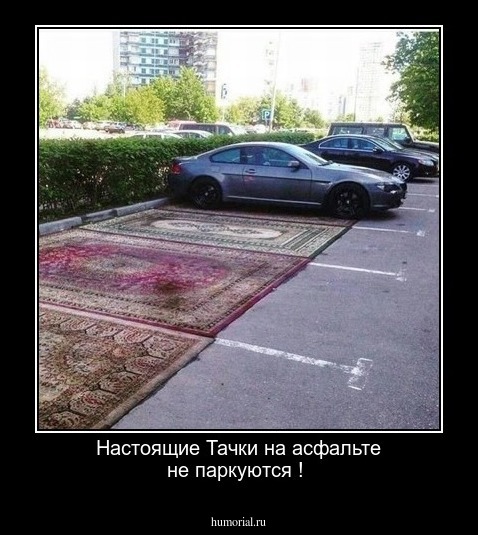 Настоящие Тачки на асфальте не паркуются !