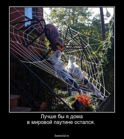 Лучше бы я дома в мировой паутине остался.