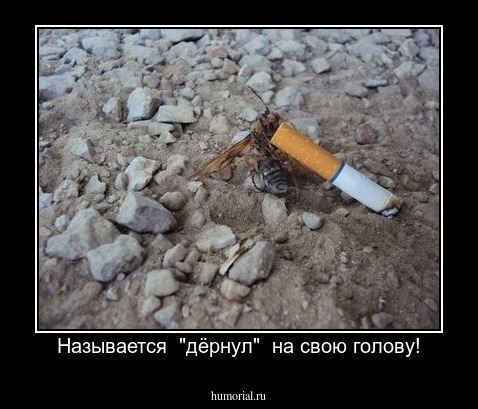 Называется  "дёрнул"  на свою голову!