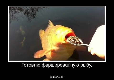 Готовлю фаршированную рыбу.