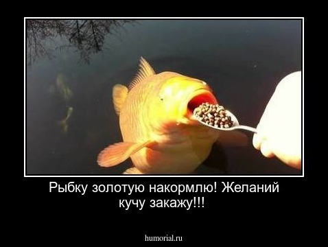 Рыбку золотую накормлю!
Желаний кучу закажу!!!