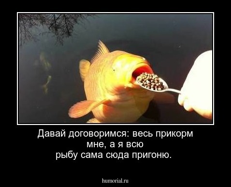 Давай договоримся: весь прикорм мне, а я всю рыбу сама сюда пригоню.