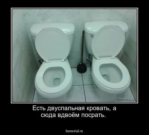Есть двуспальная кровать, а сюда вдвоём посрать.