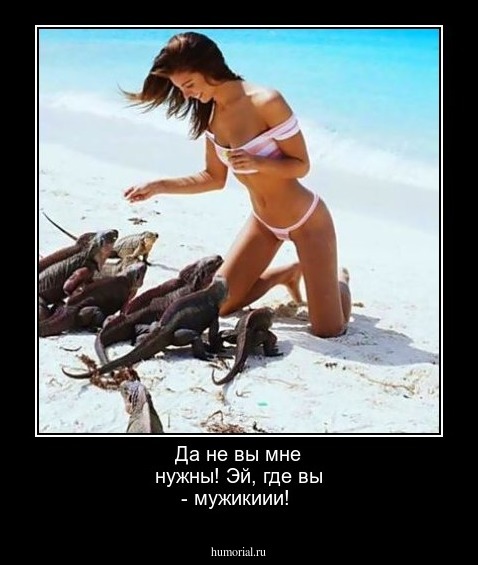Да не вы мне нужны!
Эй, где вы - мужикиии!