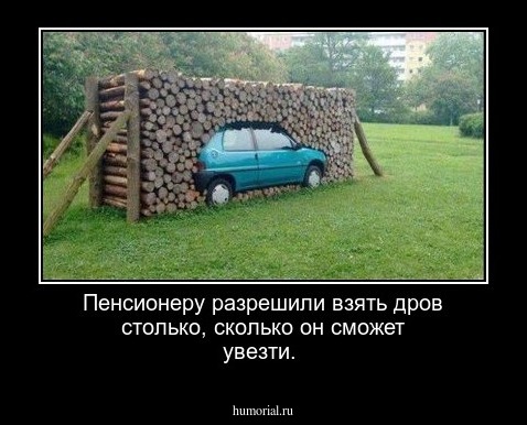 Пенсионеру разрешили взять дров столько, сколько он сможет увезти.