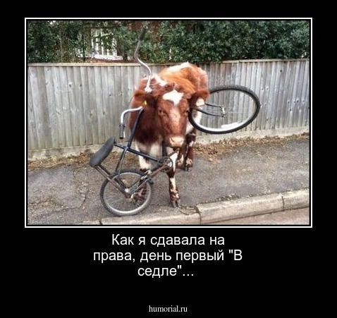 Как я сдавала на права, день первый "В седле"...