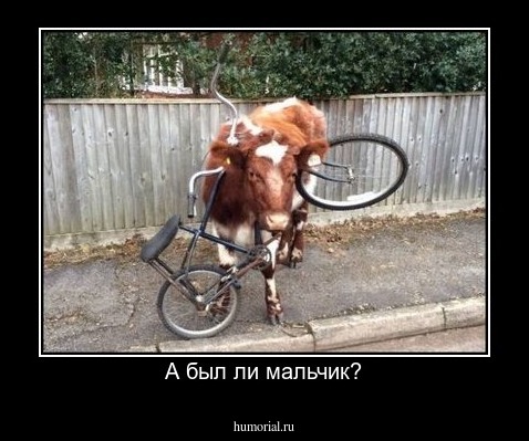 А был ли мальчик?
