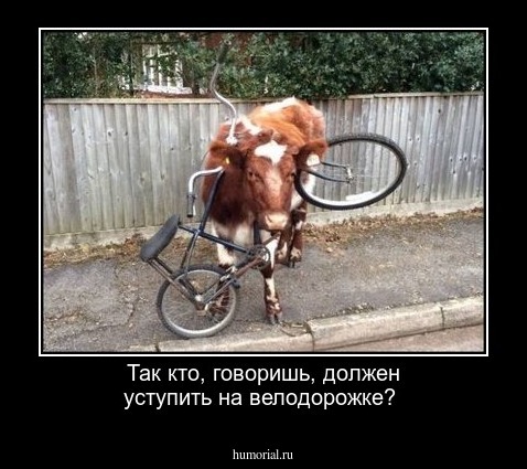 Так кто, говоришь, должен уступить на велодорожке?