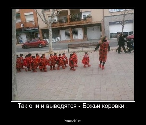 Так они и выводятся - Божьи коровки .