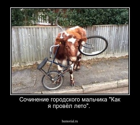 Сочинение городского мальчика "Как я провёл лето".