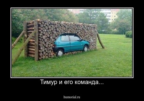 Тимур и его команда...