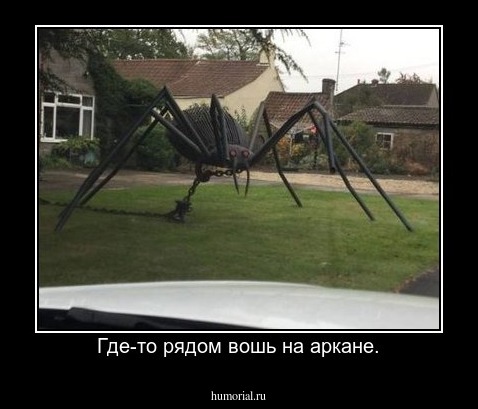 Где-то рядом вошь на аркане.
