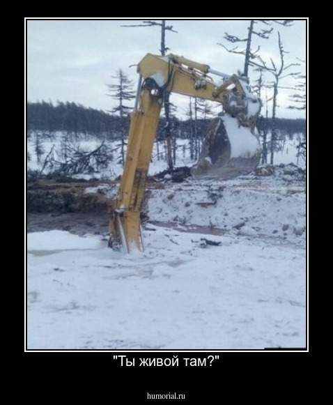 "Ты живой там?"