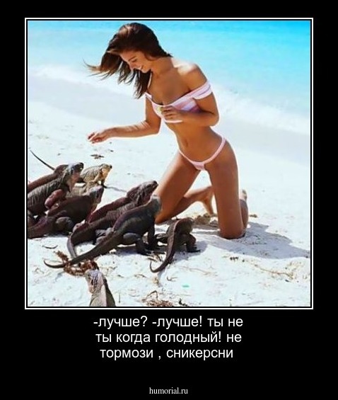 -лучше? 
-лучше!
ты не ты когда голодный! не тормози , сникерсни