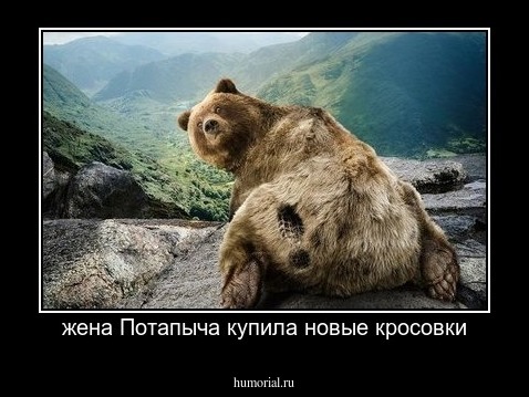 жена Потапыча купила новые кросовки