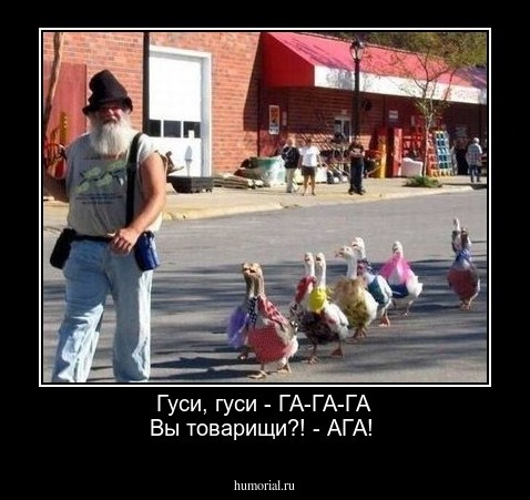 Гуси, гуси - ГА-ГА-ГА Вы товарищи?! -  АГА!