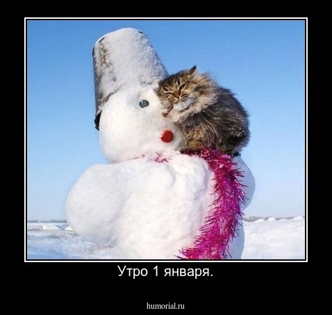 Утро 1 января.