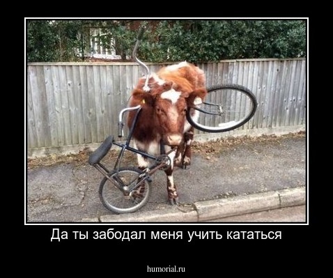Да ты забодал меня учить кататься