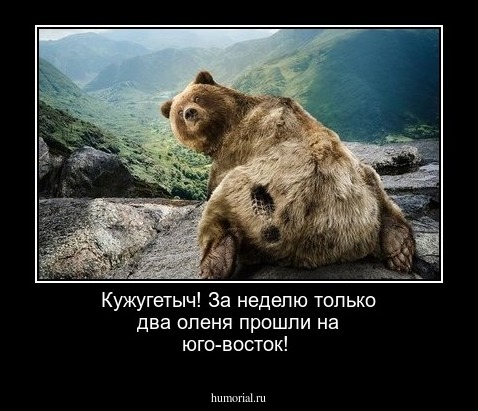 Кужугетыч! За неделю только два оленя прошли на юго-восток!