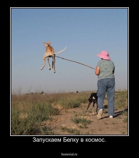 Запускаем Белку в космос.