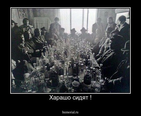 Харашо сидят !