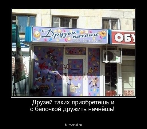 Друзей таких приобретёшь и с белочкой дружить начнёшь!