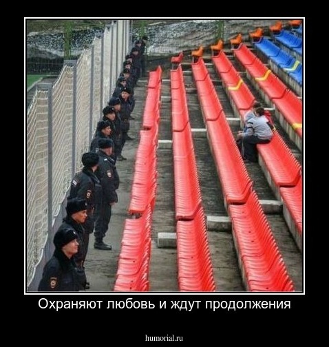 Охраняют любовь и ждут продолжения
