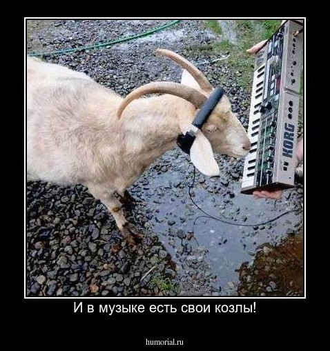 И в музыке есть свои козлы!