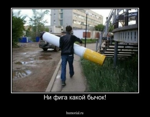 Ни фига какой бычок!