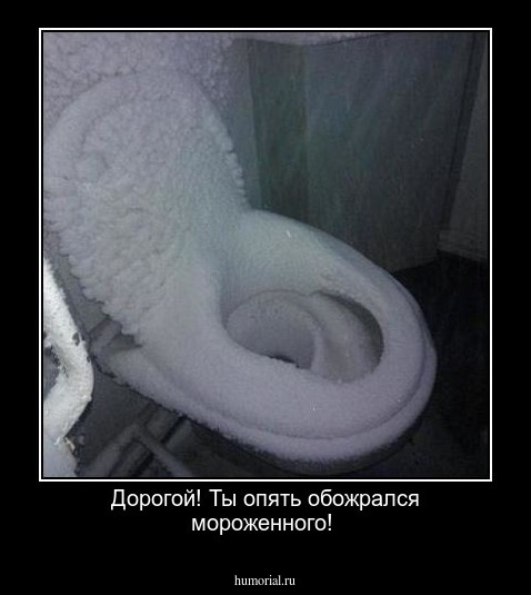 Дорогой! Ты опять обожрался мороженного!     