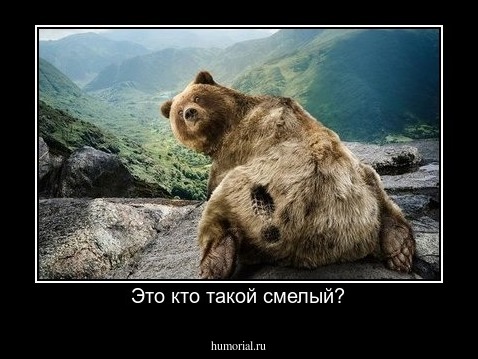 Это кто такой смелый?