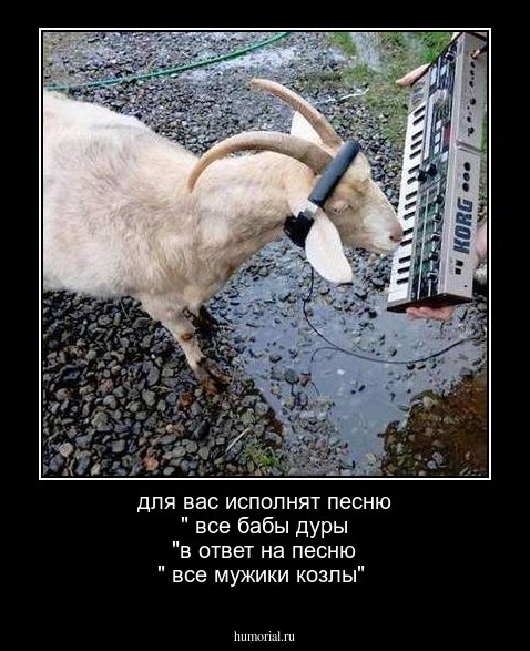 для вас исполнят песню " все бабы дуры "в ответ на песню " все мужики козлы"