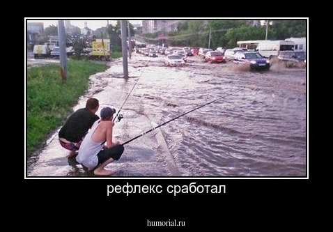 рефлекс сработал