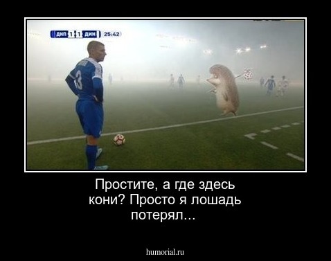 Простите, а где здесь кони? Просто я лошадь потерял...