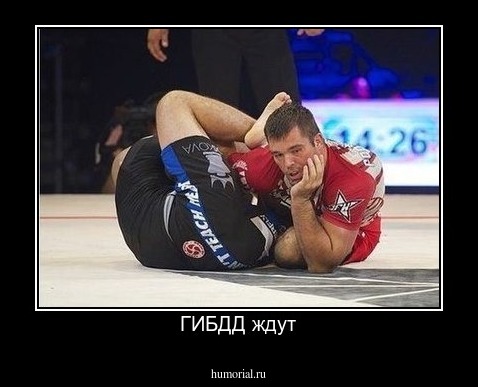 ГИБДД ждут