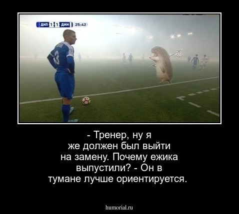 - Тренер, ну я же должен был выйти на замену. Почему ежика выпустили?
- Он в тумане лучше ориентируется.