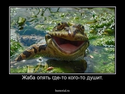 Жаба опять где-то кого-то душит.