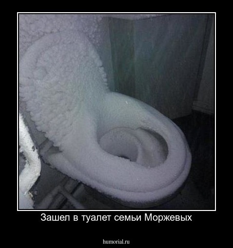 Зашел в туалет семьи Моржевых