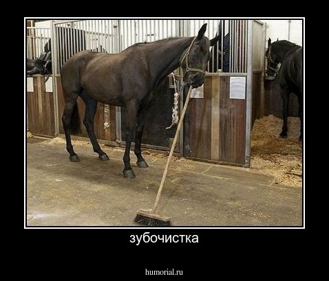 зубочистка