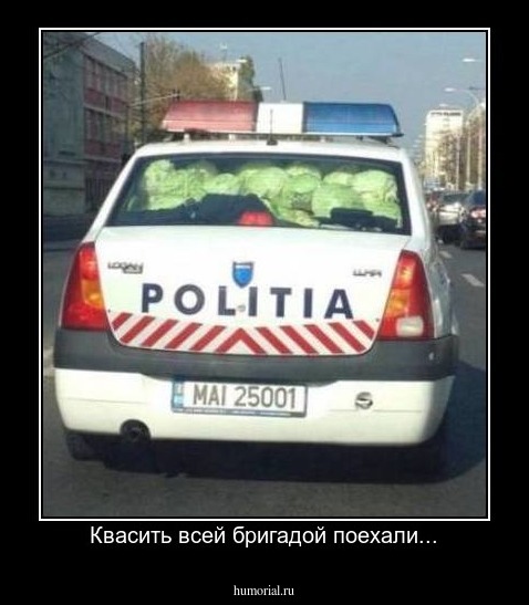 Квасить всей бригадой поехали...