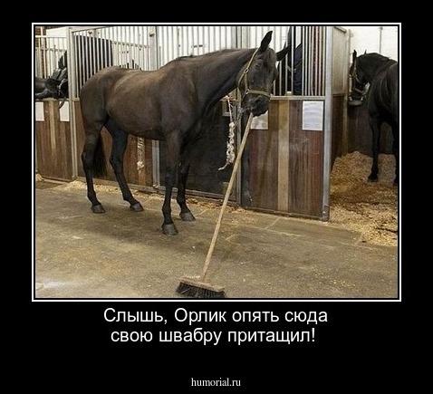 Слышь, Орлик опять сюда свою швабру притащил!