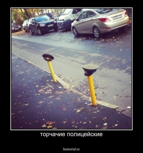 торчачие полицейские