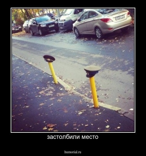 застолбили место