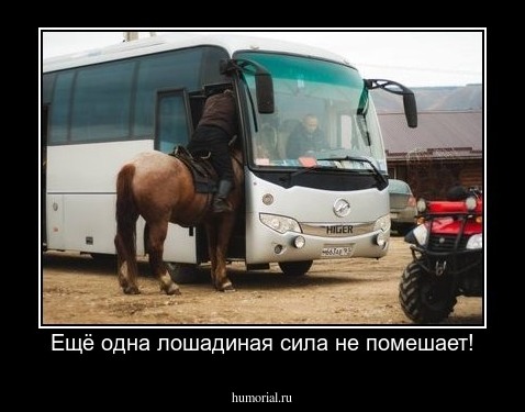 Ещё одна лошадиная сила не помешает!