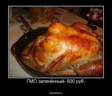 ГМО запечённый- 500 руб.